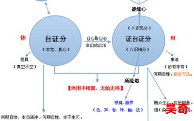 八识第八识漫画―八识绽放：探索第八识的奇妙力量